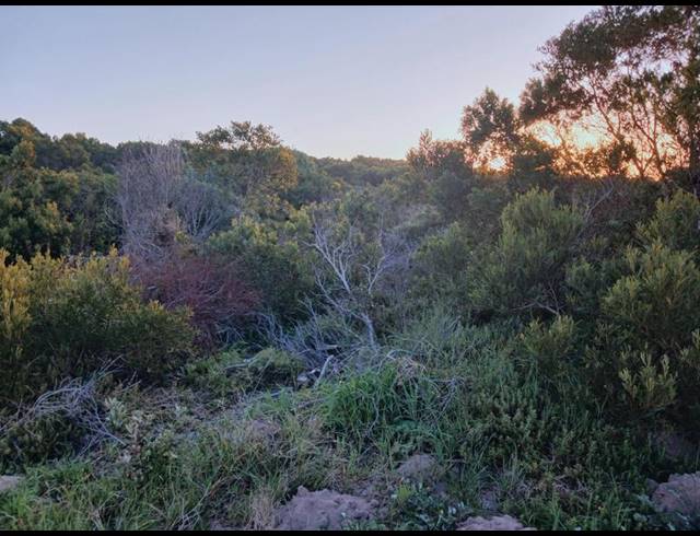 LAND FOR SALE IN KLEINBAAI